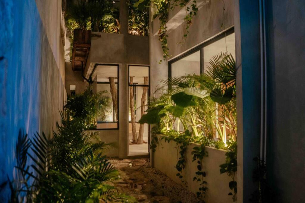טולום Villa Camila מראה חיצוני תמונה